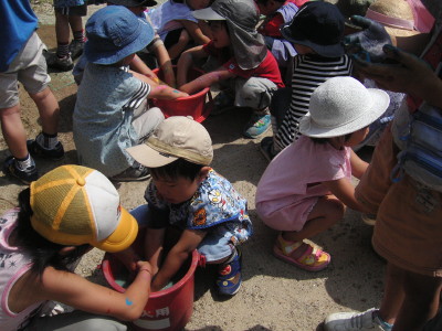 img0012.jpg