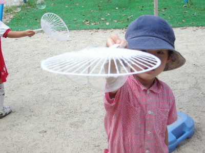 img0012.jpg