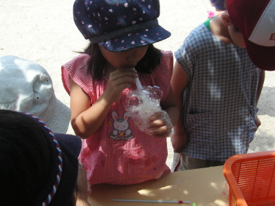 img0016.jpg