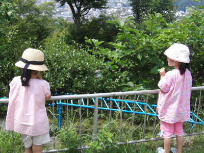 img0026.jpg