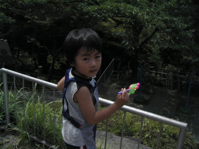 img0040.jpg