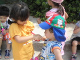 img0006.jpg