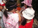 img0017.jpg