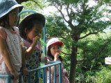 img0027.jpg