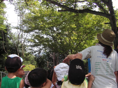 img0005.jpg