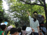img0004.jpg