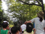 img0005.jpg