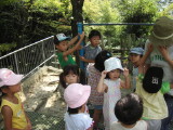 img0006.jpg