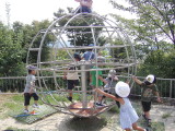 img0008.jpg