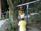 img0010.jpg
