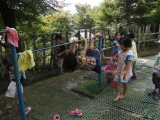 img0011.jpg