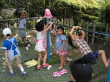 img0012.jpg