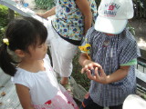 img0017.jpg