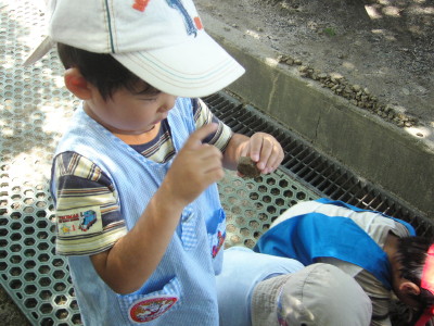 img0001.jpg