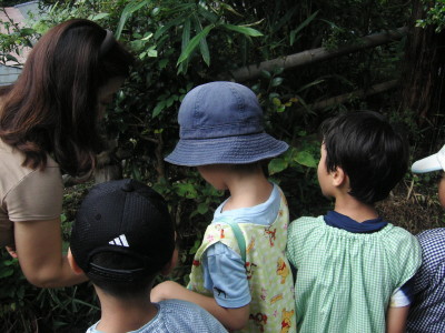 img0016.jpg