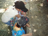 img0000.jpg