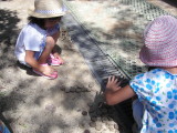 img0002.jpg