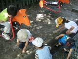 img0003.jpg