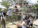 img0009.jpg