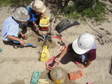img0012.jpg