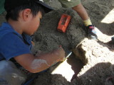 img0014.jpg