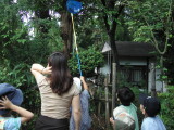img0015.jpg