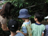 img0016.jpg