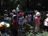 img0006.jpg