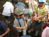 img0010.jpg