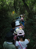 img0021.jpg