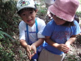img0023.jpg