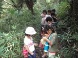 img0024.jpg