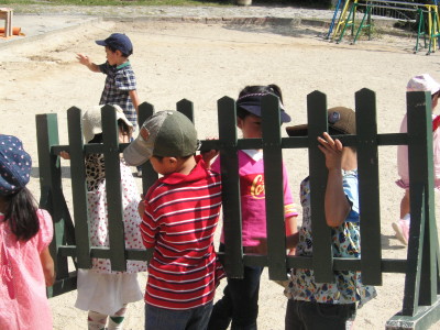 img0010.jpg