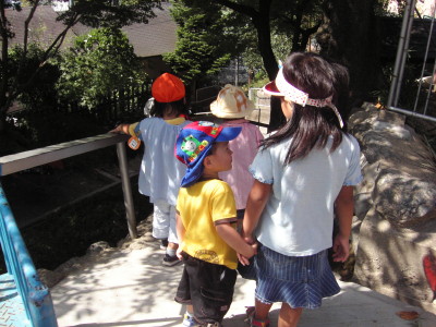 img0011.jpg