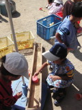 img0004.jpg