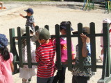 img0010.jpg