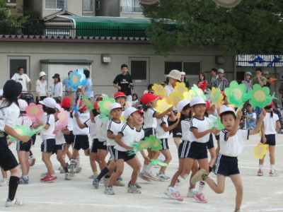 img0035.jpg