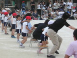 img0031.jpg