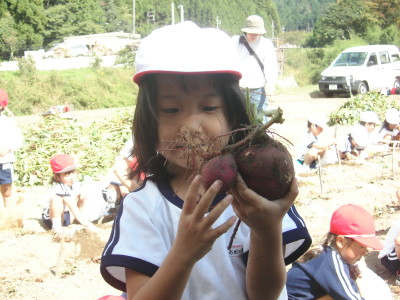 img0008.jpg