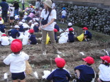 img0001.jpg