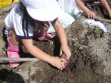 img0003.jpg