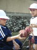 img0012.jpg