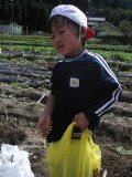 img0014.jpg