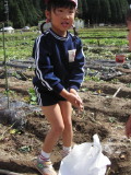 img0015.jpg