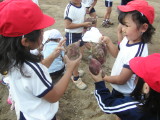 img0016.jpg