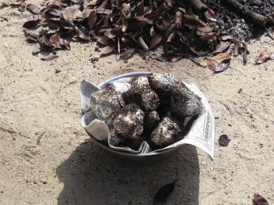 img0011.jpg