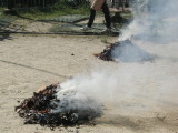 img0008.jpg