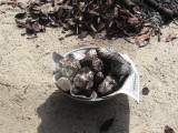 img0011.jpg