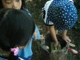 img0010.jpg