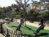 img0012.jpg